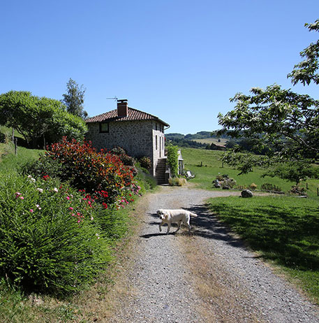 Domaine d