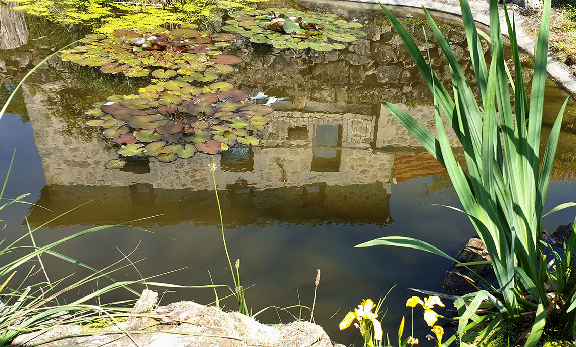 Domaine Hypolite - le bassin